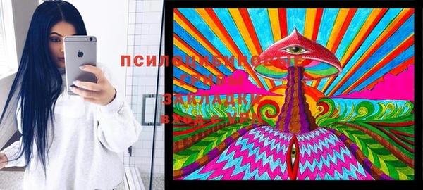 гидра Михайлов