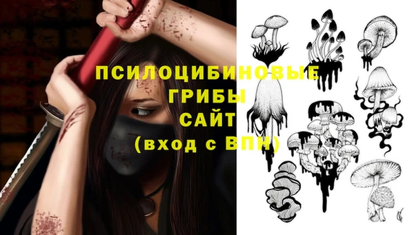 mix Арсеньев