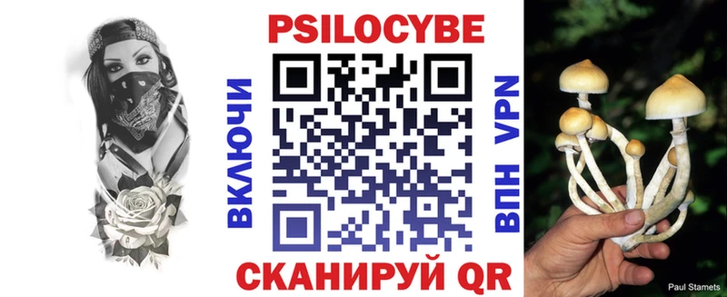 Псилоцибиновые грибы Psilocybine cubensis  Сланцы 