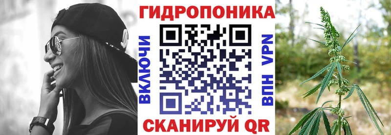 Канабис гибрид  закладка  Сланцы 